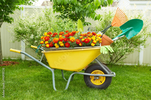 Gardening tools. photo