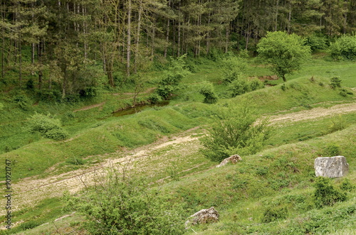 Meadow field and small river in Zavet town, Bulgaria