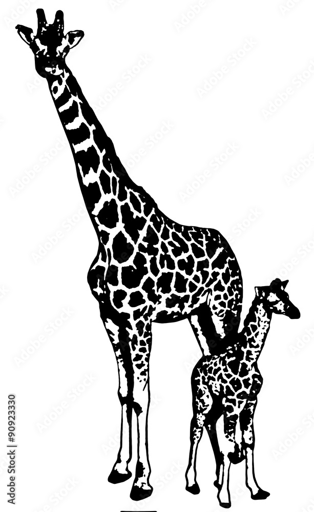 Naklejka premium キリン