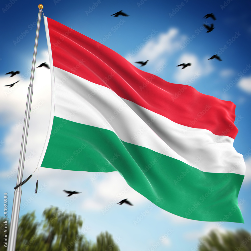 Obraz premium Flag of Hungary