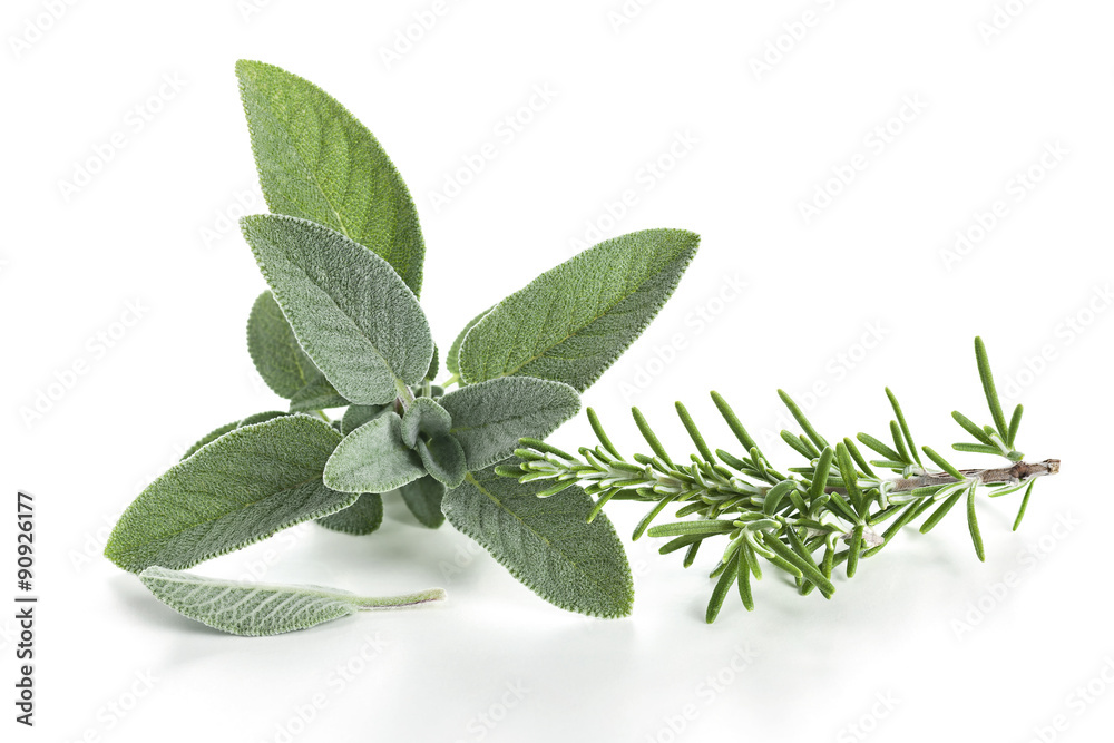 Obraz premium Rosmarin und Salbei als Freisteller