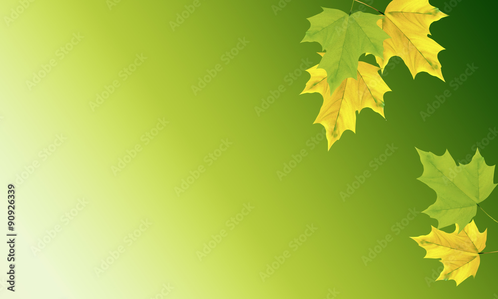 Fototapeta premium Falling autumn leaves