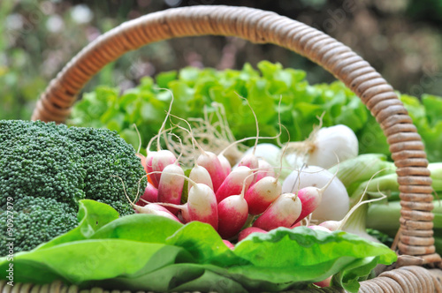 botte de radis parmi légumes vert dans panier