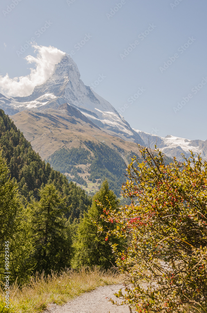 Naklejka premium Zermatt, Dorf, Walliser Dorf, Alpen, Walliser Alpen, Schweizer Berge, Findeln, Findelschlucht, Findelbach, Wanderwege, Wanderziel, Matterhorn, Wallis, Schweiz