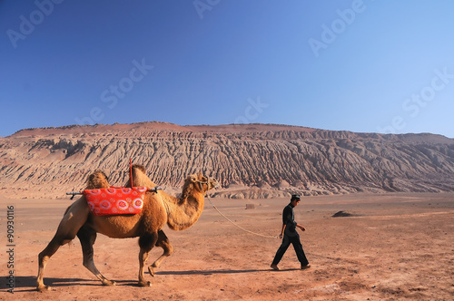 Photography Camels at Flaming Mountains or Gaochang Mountains are barren, eroded, red sandstone hills in Tian Shan Mountain range, Xinjiang, China