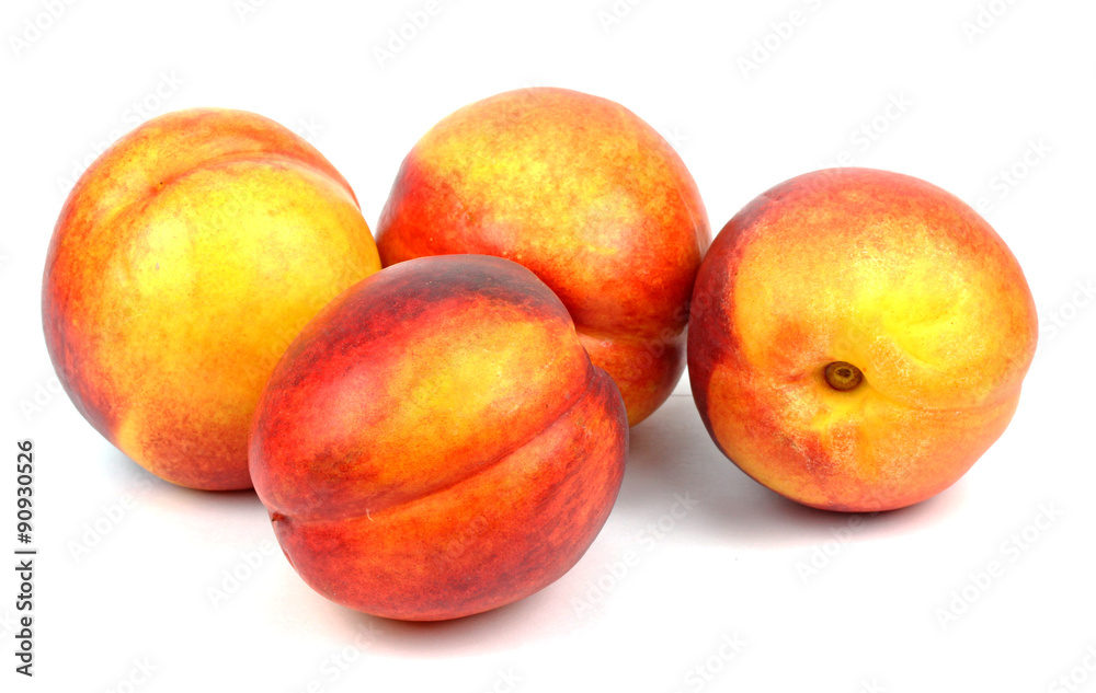 nectarines on a white background. nectarines on a white background.