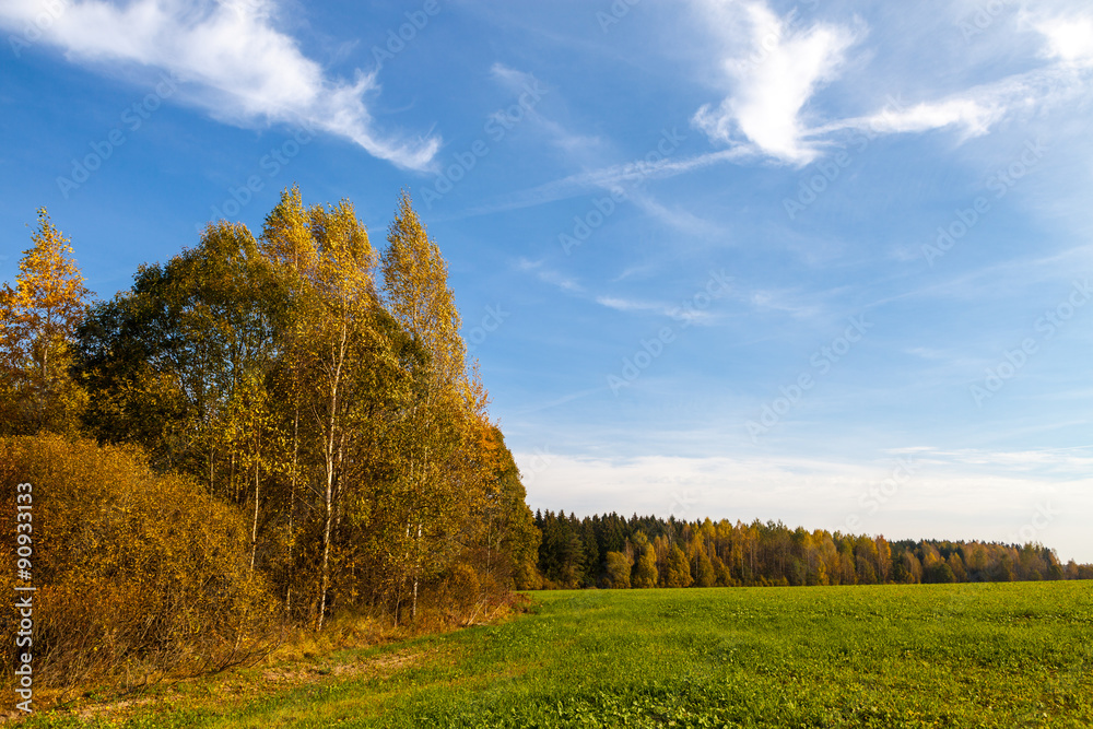 Agricultural field and forest in autumn