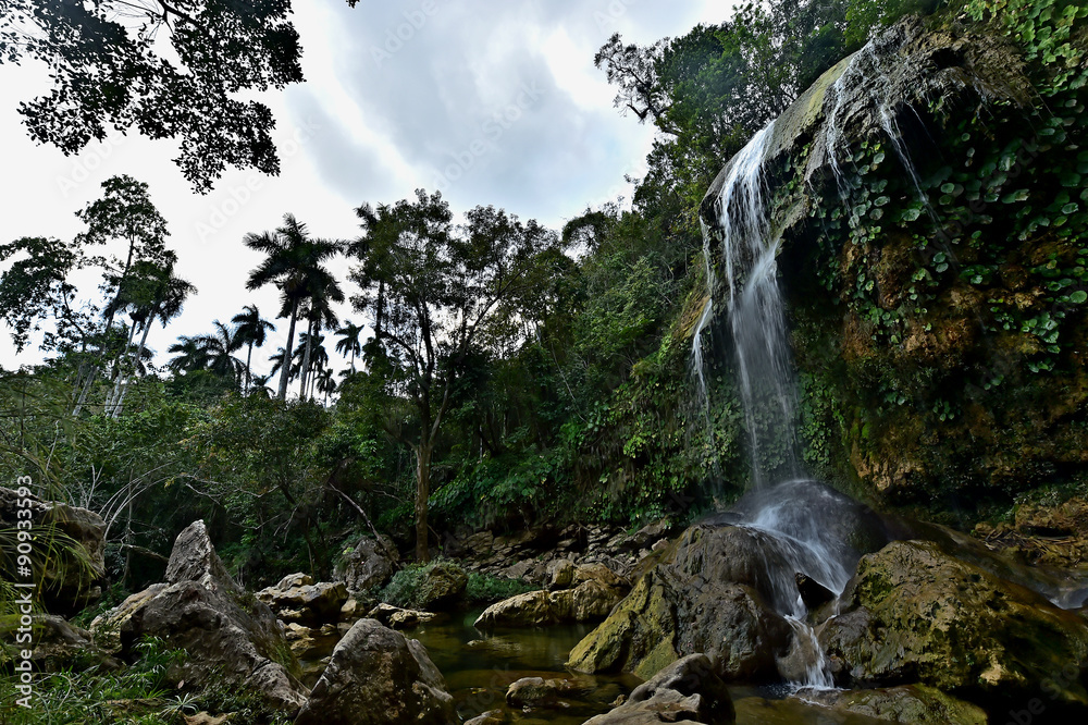 Fototapeta premium SOROA WATERFALL, Sierra Rosario Biosphere Reserve, Pinar del Rio, Cuba