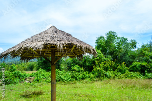 Umbrella made of dry grass