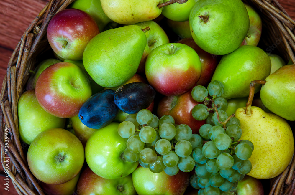 apple, pear, plum and grape apple, pear, plum and grape