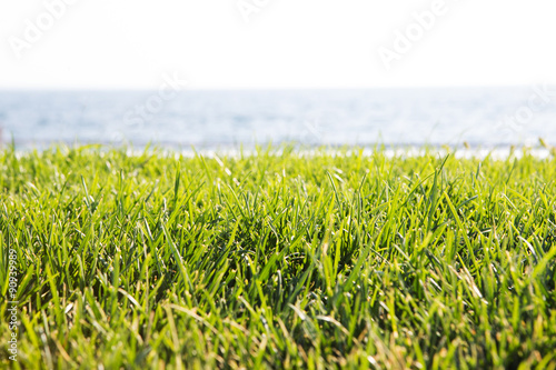 Green grass lawn on sea background