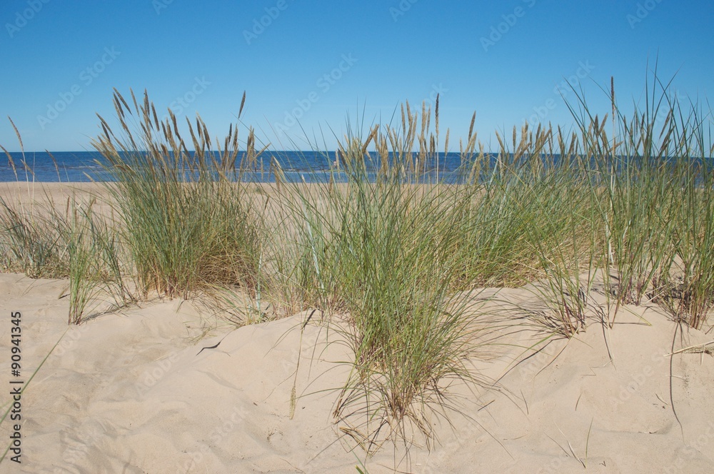 white dune near Riga, Latvia