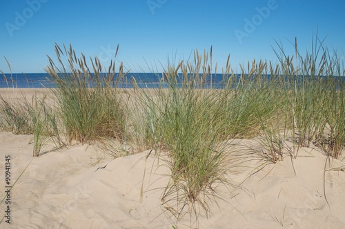 white dune near Riga  Latvia