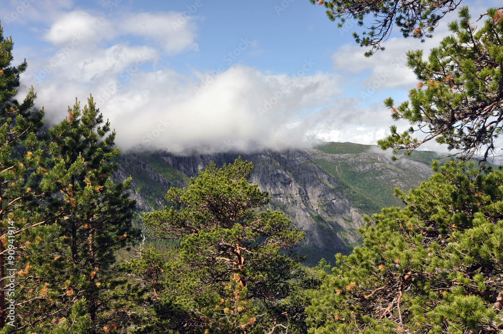 Fototapeta premium Norwegian nature / There are mountains plunging into the sea from hundreds of metres, fjords, tall mountain peaks, northern lights and midnight sun.