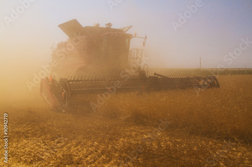 Combine harvester on a wheat field at harvest time