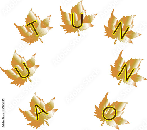 vector illustration of autumn leaves
