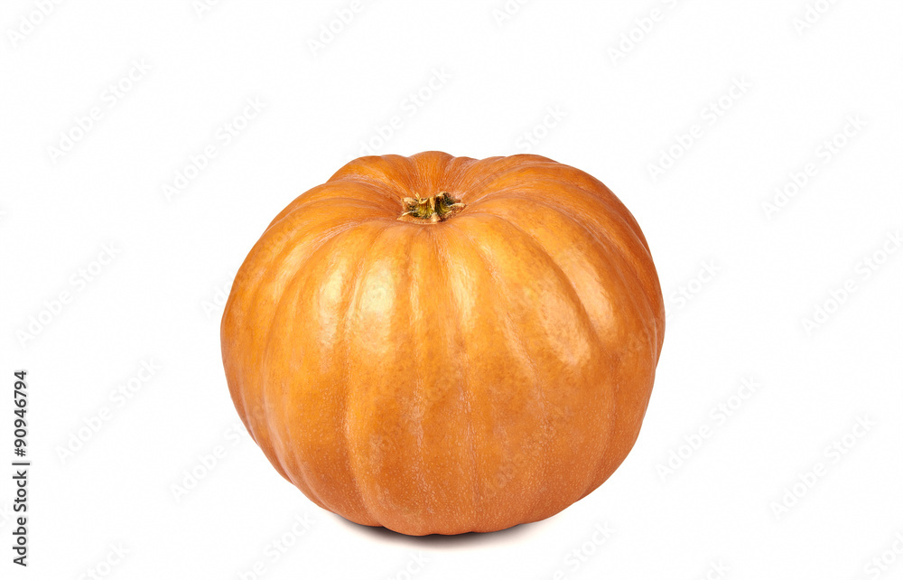 Pumpkin Pumpkin