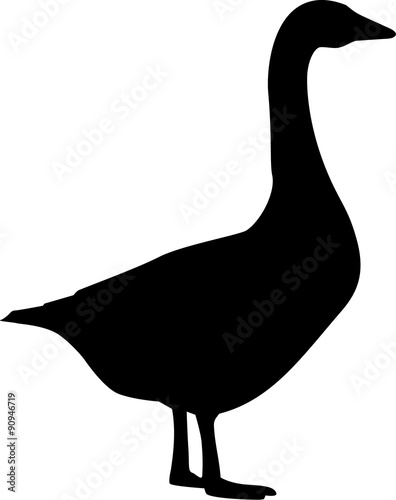 Goose profile