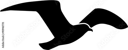 Fotografia Seagull flying silhouette