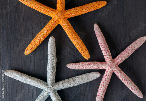 Close-up of three starfish on old wooden board