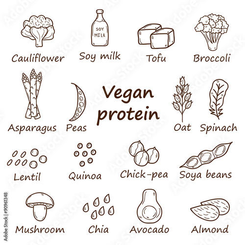Set of cartoon hand drawn objects on vegan protein source theme