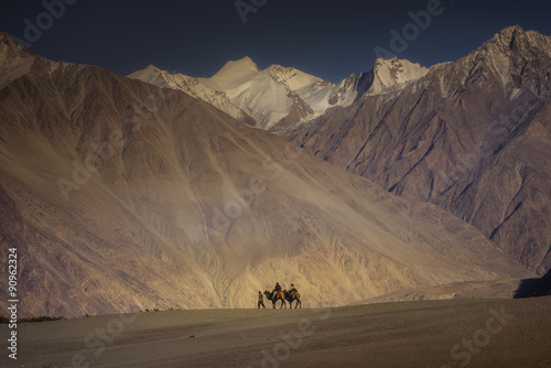 Travelers riding camels Nubra Valley Ladakh ,India.