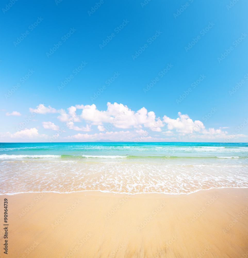 beach and tropical sea