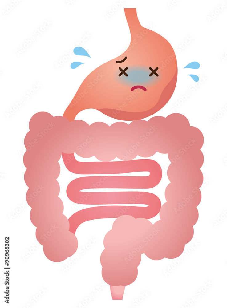 胃腸消化器胃もたれStock Illustration | Adobe Stock