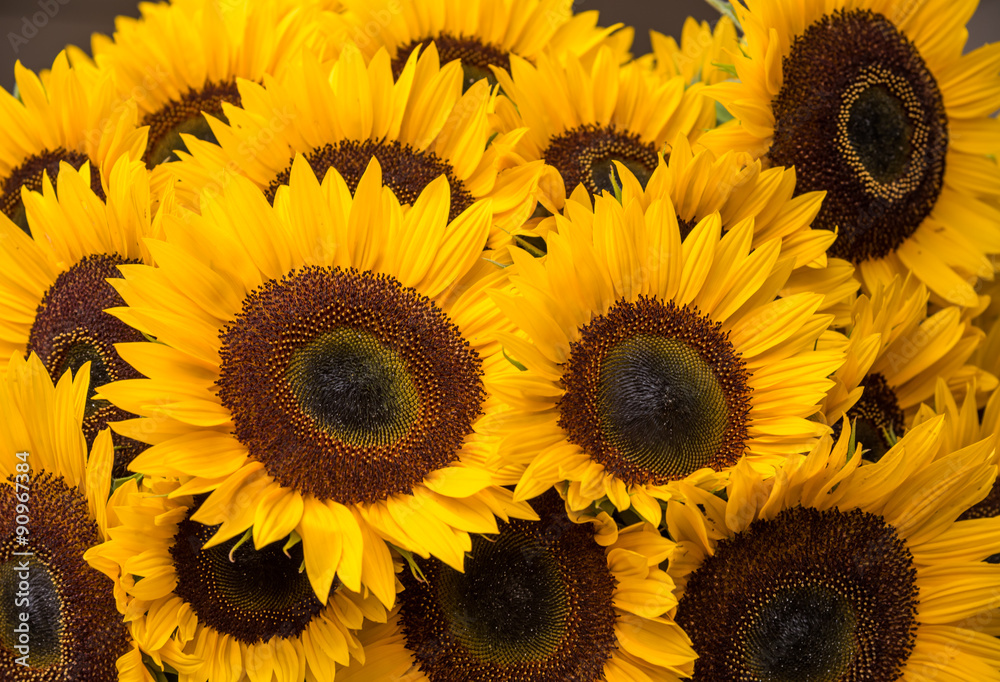 Fototapeta premium Closeup bunch of cut sunflowers at weekend market