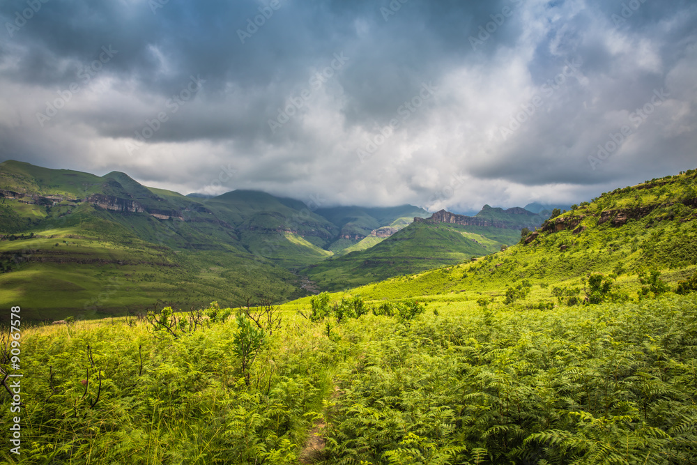 On the Road to Drakensberg