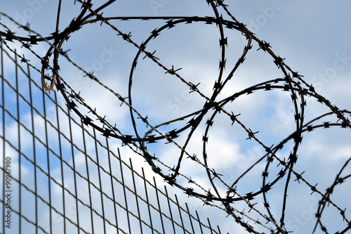 Barbed wire