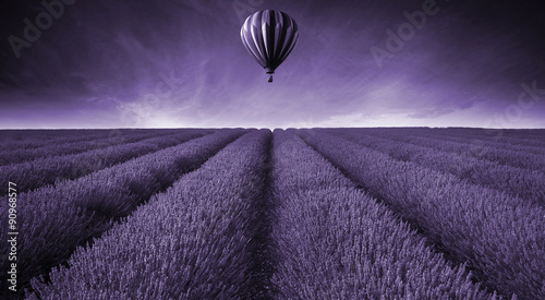 Lavender field Summer sunset landscape with hot air balloon tone