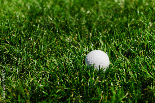 Golf Ball at a Field