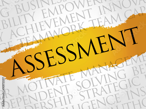ASSESSMENT word cloud, business concept