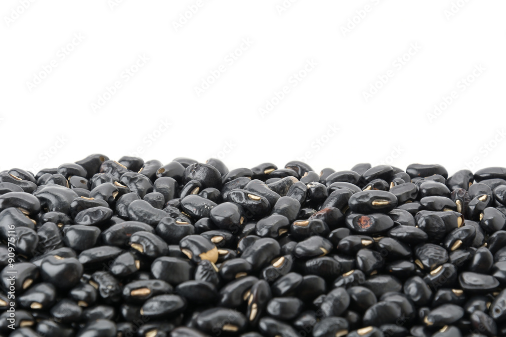 black beans on white background black beans on white background