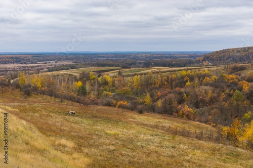 Late fall landscape in Sumskaya oblast, Ukraine