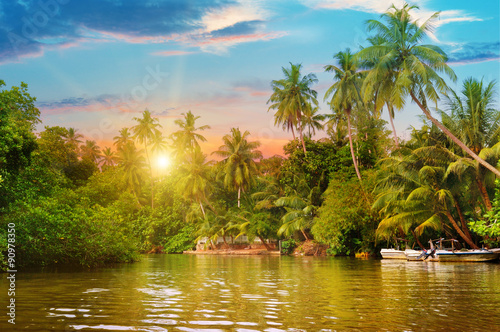 Fototapeta Naklejka Na Ścianę i Meble -  river, beautiful sunrise and tropical palms