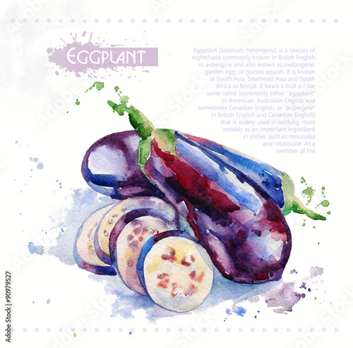 Eggplant. Raw vegetable. Watercolor illustration for design. Spray paint. 