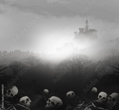 castle skulls