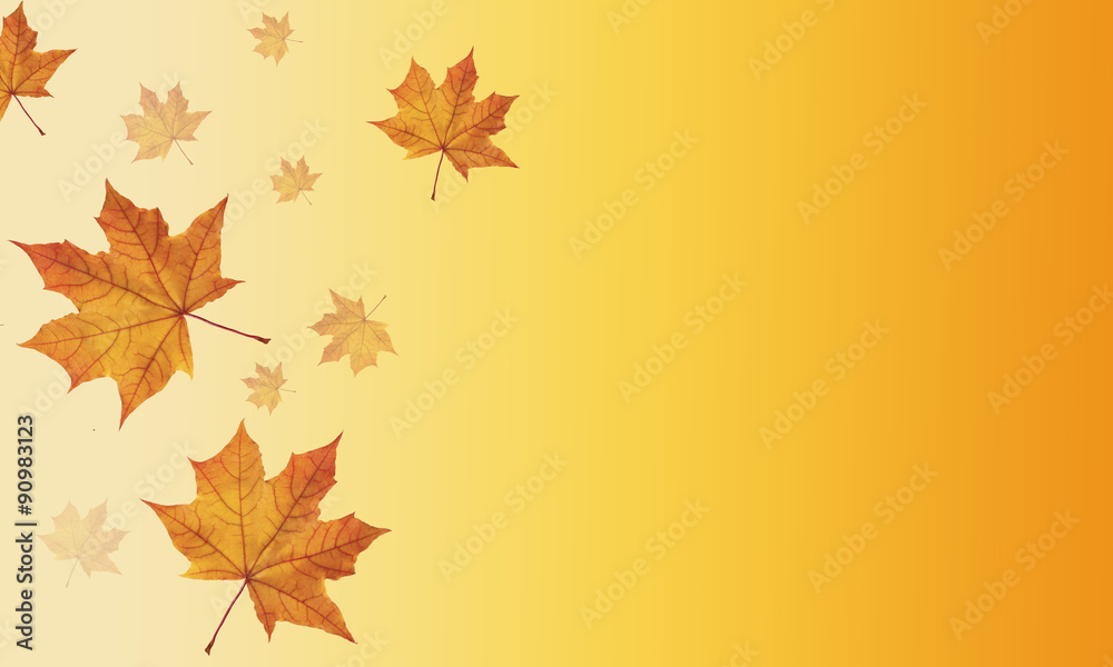 Fototapeta premium Falling autumn leaves