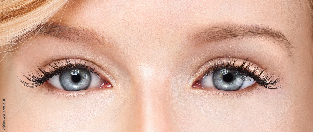 Naklejka premium Closeup shot of woman eye with day makeup. Long eyelashes