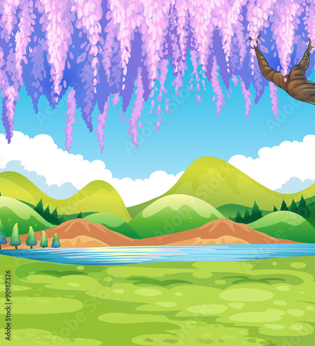Nature scene with green field and willow tree