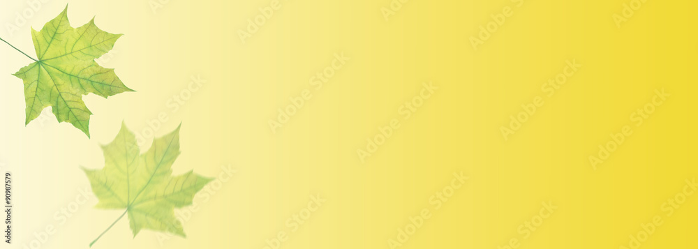 Falling autumn leaves