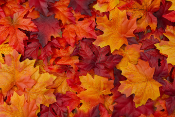 Autumn Leaves Background