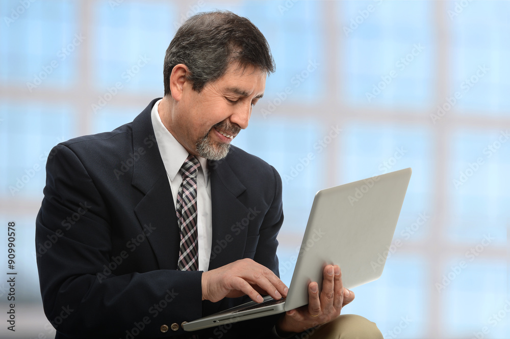 Businessman Using Laptop Businessman Using Laptop