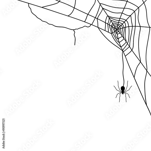 Spider and web isolated on white, vector