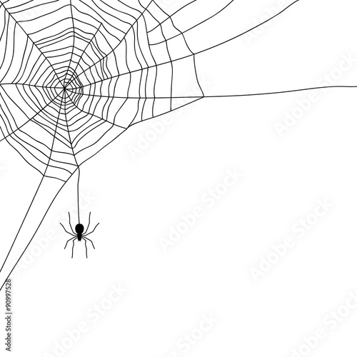 Spider and web isolated on white, vector
