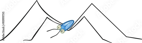 water strider on white background