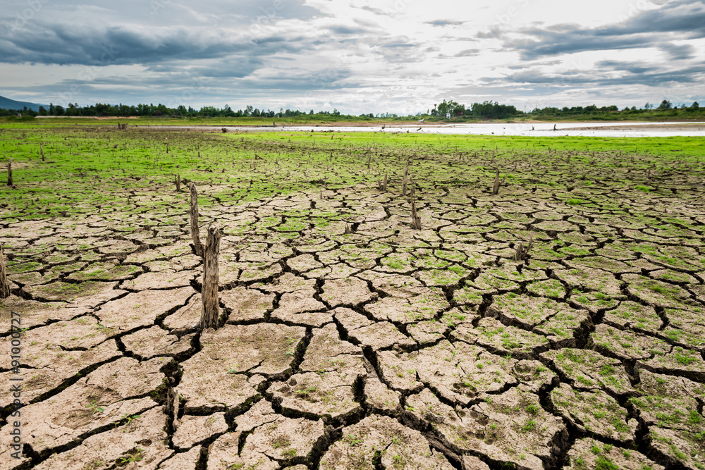 Ταπετσαρία green grass on cracked mud in the bottom of a river showing drou