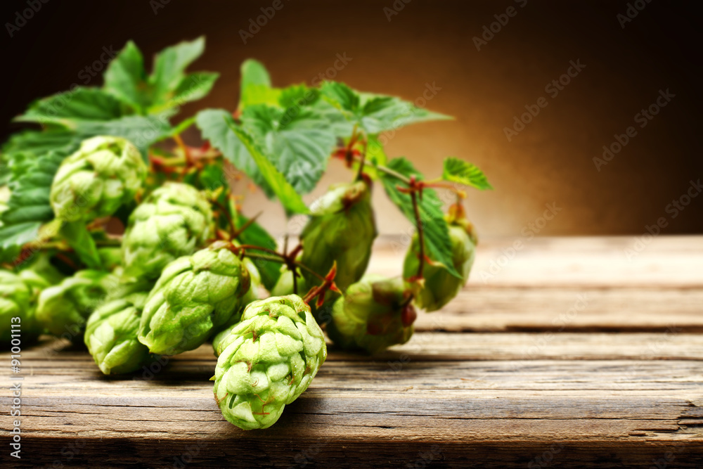 green hop green hop
